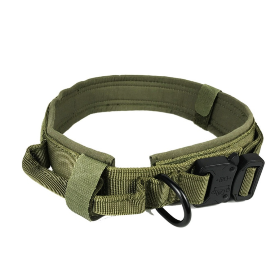 Collare  per cane militare verde od