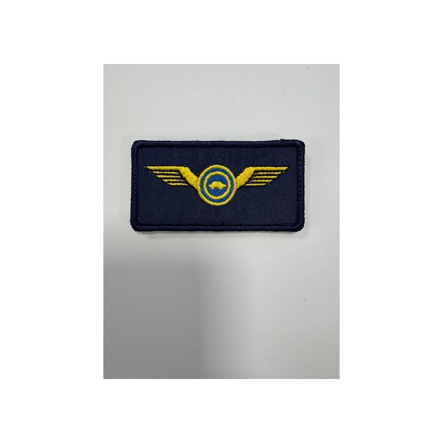 Brevetto Patch Ricamato da giacca Ali Guida Veloce Auto